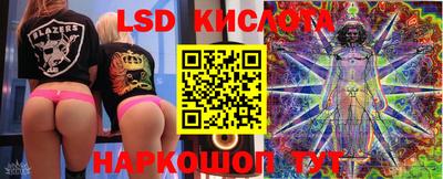 индика Ставрополь