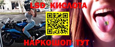 дмт Сланцы