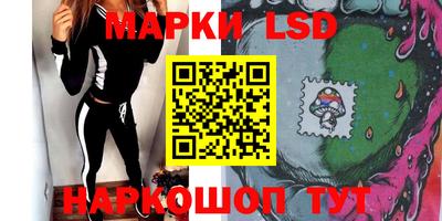 индика Ставрополь