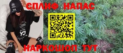 индика Ставрополь