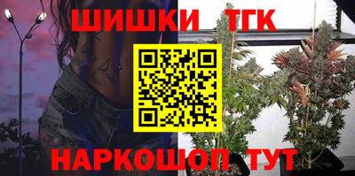 индика Ставрополь