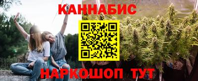 дмт Сланцы