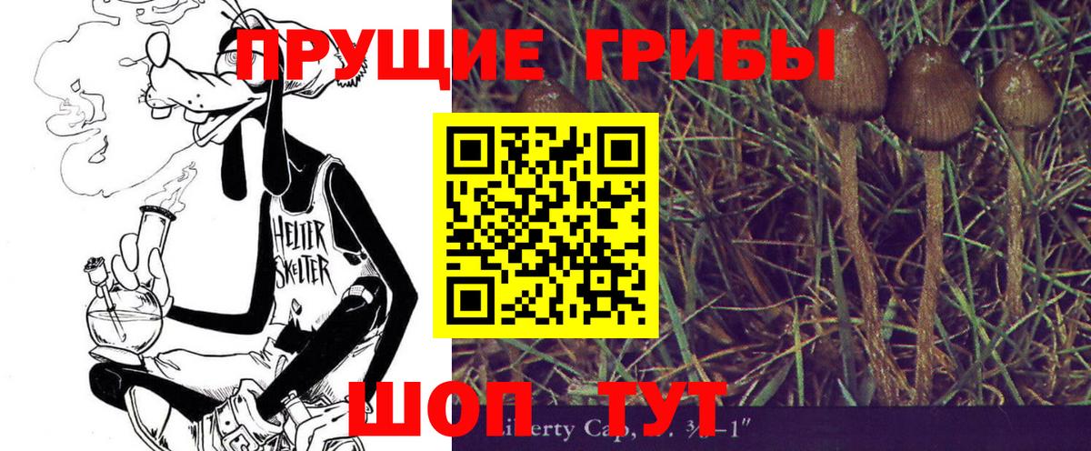 Галлюциногенные грибы Psilocybine cubensis Нурлат